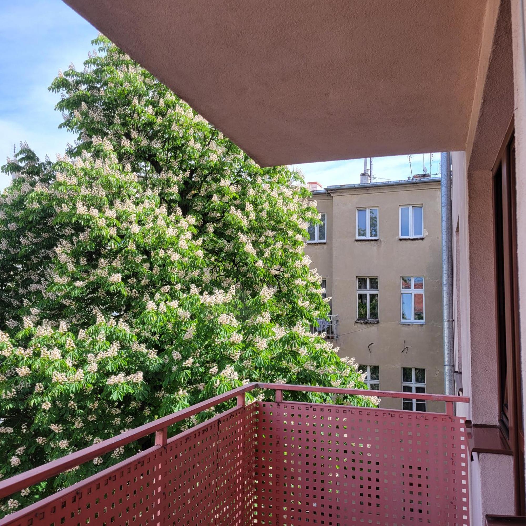 Cozy Apartment Wrocław Exterior foto